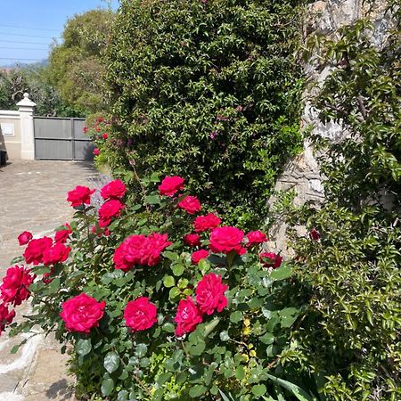 Les Trefles Hyères Exterior foto