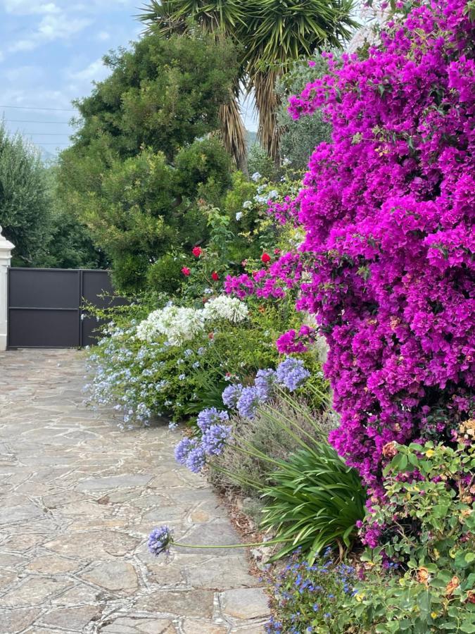 Les Trefles Hyères Exterior foto